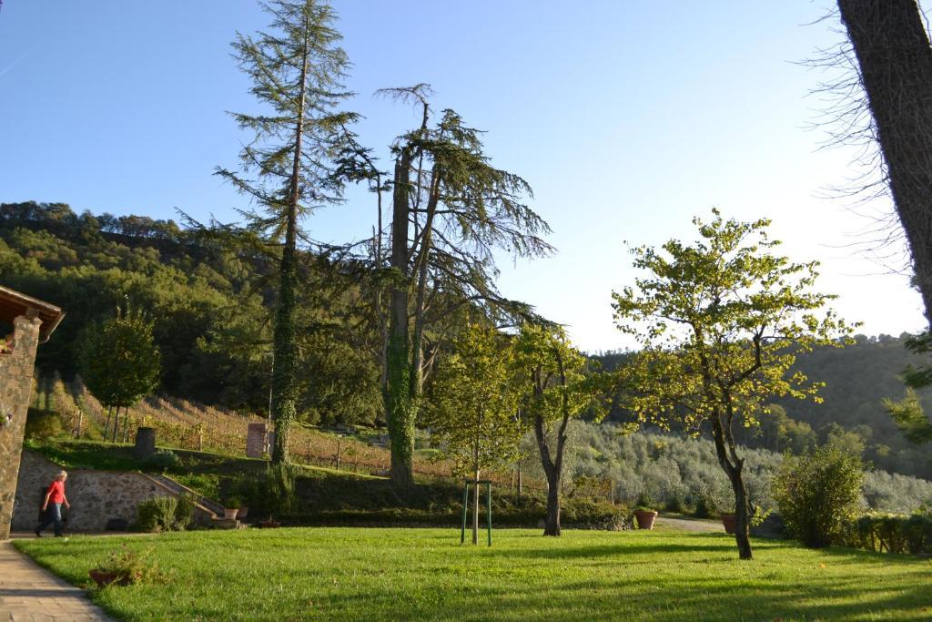 Agriturismo Lapone Orvieto Exteriér fotografie